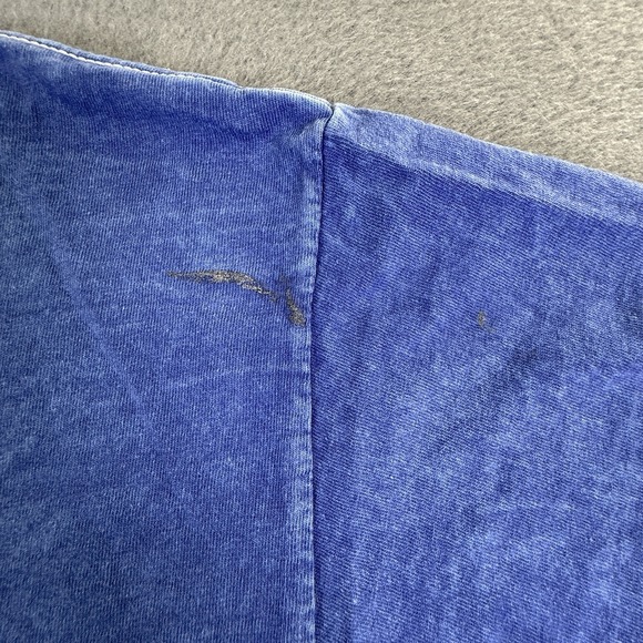 America United Freedom Y2K Graphic T -shirt XL Fruit Of The Loom Blue Eagle - Picture 7 of 7